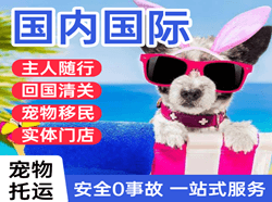 海西德令哈机场托运国际宠物托运 【国